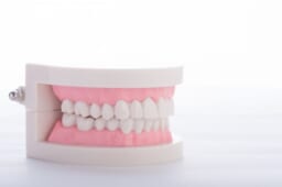 東京評判の審美歯科が行うラミネートベニア治療の歯肉について