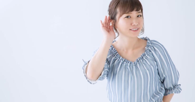 どの種類のベニヤが最適ですか?